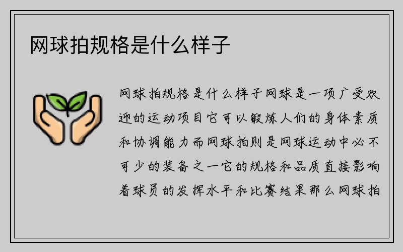 网球拍规格是什么样子